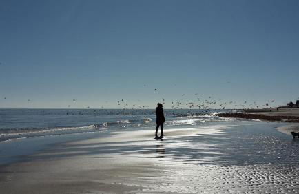 Haus Seeblick - Foto 15
