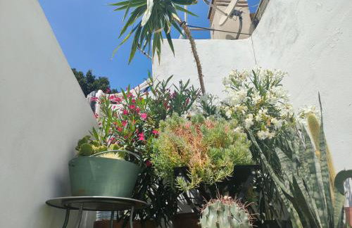 Historic Center private Terrace and Parking Option - Foto 16