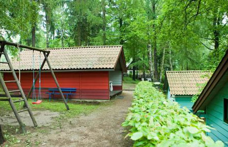 Waldidylle - Bungalows an der Talsperre Kriebstein - Foto 7