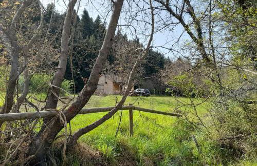 Wood Cabins by the River - for Nature Lovers - Photo 52