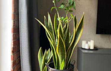 Dom nad jeziorem - Foto 15