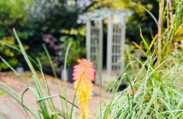 The Secret Garden Retreat With Hot Tub - Foto 34