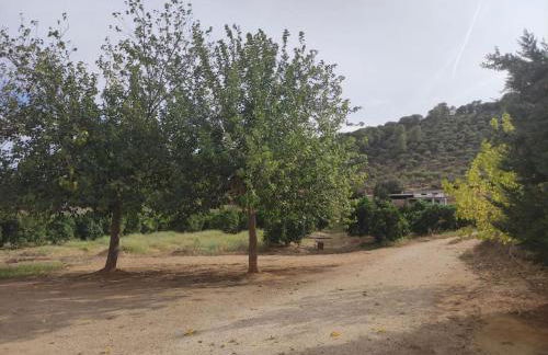 Casa Rural Alameda en Posadas Córdoba - Foto 37