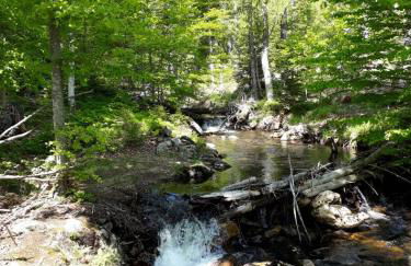 Ferienhaus Bayerwald - Foto 21