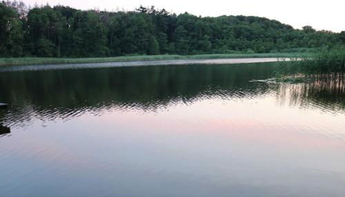 Ferienwohnung zum Schwandter See - Foto 3