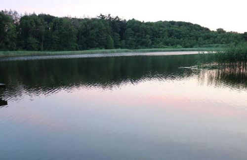 Ferienwohnung zum Schwandter See - Foto 3