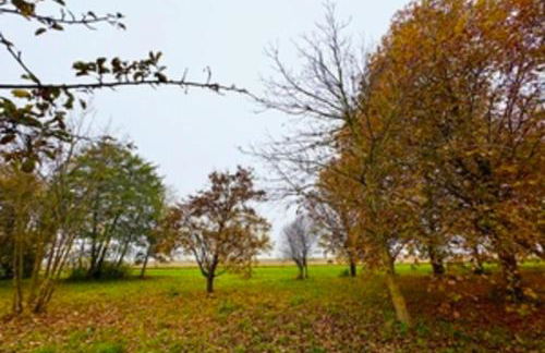 Le Mazal comfort & calm near Strasbourg - Photo 51