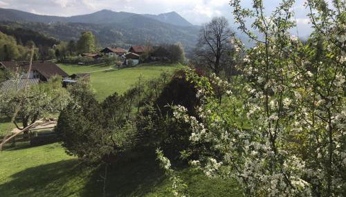 Entspannen mit Bergpanorama - Foto 3