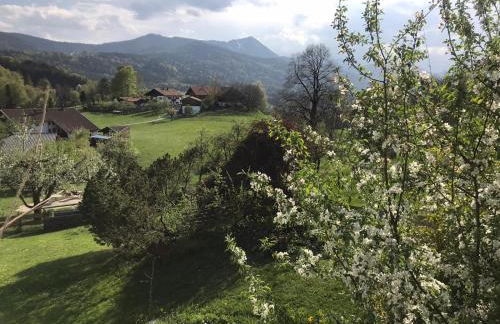 Entspannen mit Bergpanorama - Foto 3