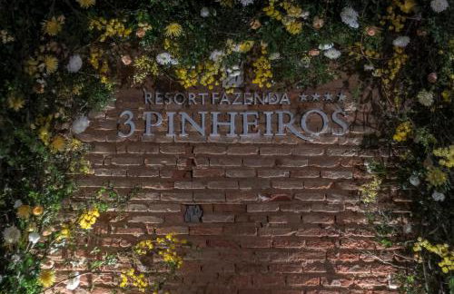 Resort Fazenda 3 Pinheiros - Photo 66
