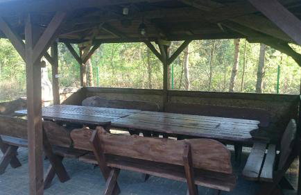 Dom w Szkotowie - Foto 31