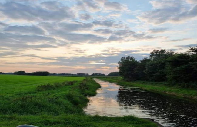 Cozy Countryside Getaway - Foto 39