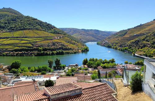 Ver o Douro - Alojamento Local - Foto 16