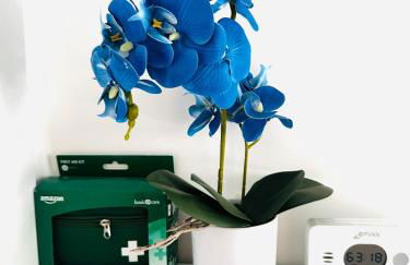 Blue Orchid Apartment, IUN S8460 - Foto 9