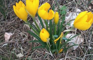 Villa Lofos - Photo 43