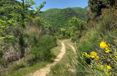 Garden Residence - Foto 44