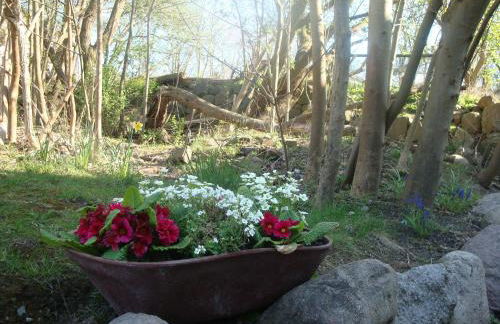 Gutspark Seeblick - Foto 23