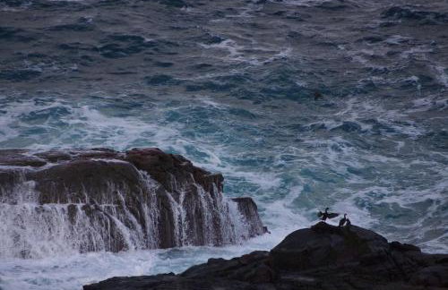 West Horizon holiday cottage - Foto 45