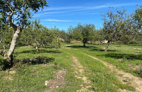 Casa the Dutchman - Foto 48