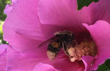 Paradiesisch Wohnen - Loreley - Foto 36