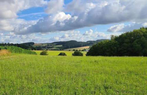 Jedermanns Nest - Foto 11