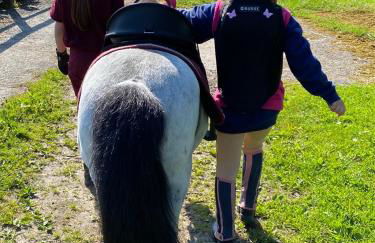 Heidegut Eschede Reitsportanlage und Feriendorf - Foto 11