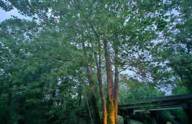 Life's Good Retreat Bear Cottage - Foto 21