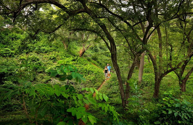 Mukul Resort - Foto 80