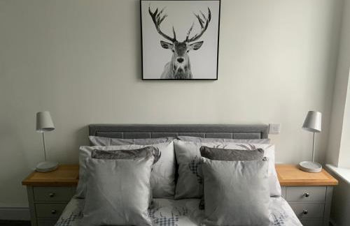 Deeside Snugs Apartments - Foto 84