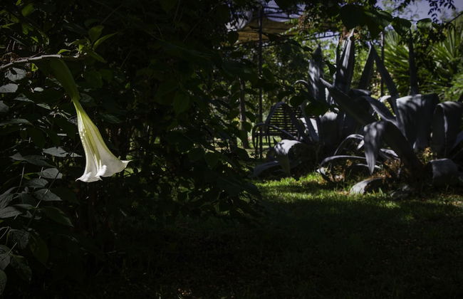 Tenuta Santa Tecla - Foto 68