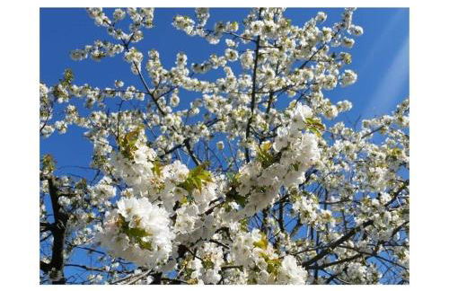 Holiday apartment with 2 bedrooms - Foto 6