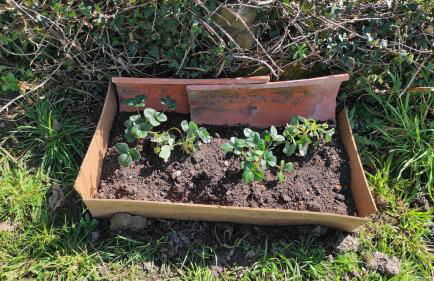 Nordés Casa rural en Lastres entre mar y montaña - Foto 22