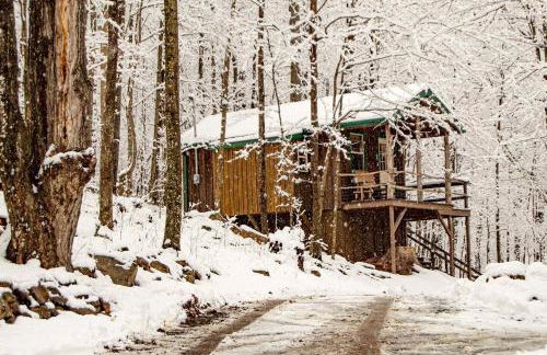 Treehouse Cabin in Riverton, WV - Foto 17