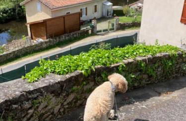 The Calm Space Bellac - Foto 25