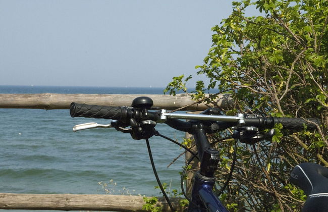 Ferienwohnung in Steffenshagen mit Garten - Foto 38