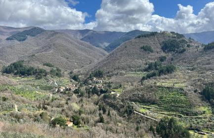 Tuscany, Loro Ciuffenna Mountain Bike&walking - Foto 6