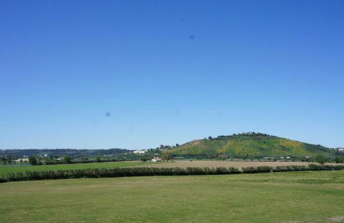 Quinta das Arribas - Foto 7