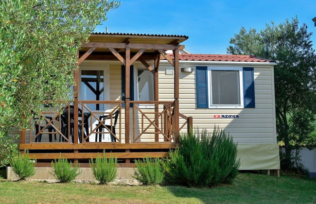 Iva - Great Garden - H - Photo 18