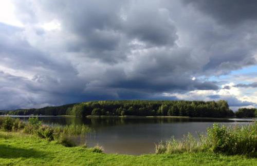 Domek wypoczynkowy w lesie nad jeziorem - Foto 39