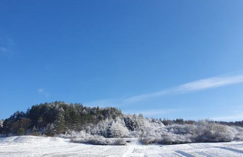 Domek Amelia -Bieszczady - Foto 9