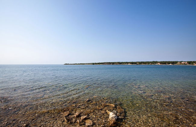 Daila Apartments - Foto 14