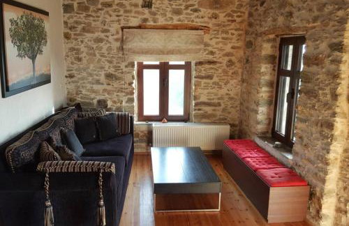 Traditional Stone House in Kissos Pelion - Foto 5