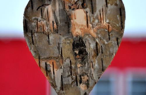 Ferienhof Wahls - Foto 20