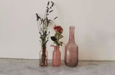 La marmotte - Foto 18