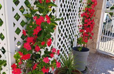 Villa Mariamar - Foto 21