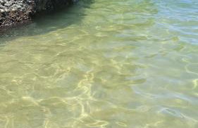 Recanto do Mar - Foto 31