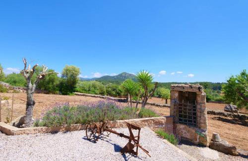 Son Fornes - Photo 24