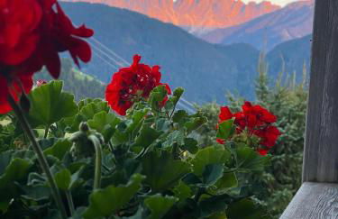 Oberprantschöllhof - Horse Mountain Stable - Foto 26