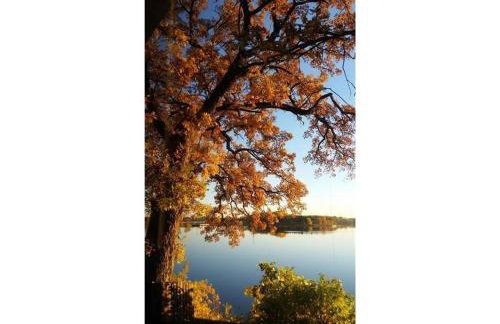 Over 200' of Shoreline on Foot Lake!! Great Fishing Year Round! - Foto 16