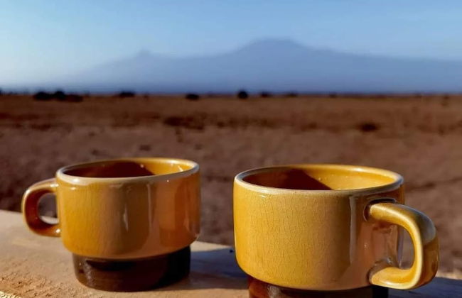 Amanya Star Bed Amboseli - Foto 8